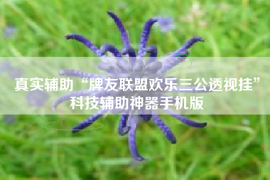 真实辅助“牌友联盟欢乐三公透视挂	”科技辅助神器手机版