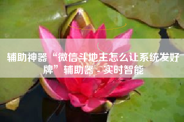 辅助神器“微信斗地主怎么让系统发好牌”辅助器 - 实时智能