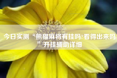 今日实测“熊猫麻将有挂吗?看得出来吗”开挂辅助详细