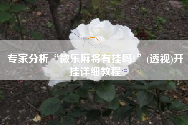 专家分析“微乐麻将有挂吗?”(透视)开挂详细教程