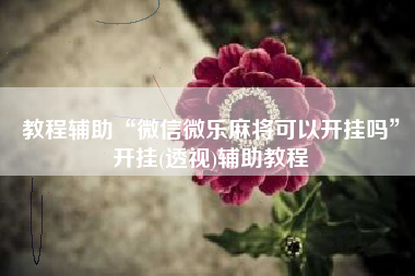 教程辅助“微信微乐麻将可以开挂吗”开挂(透视)辅助教程