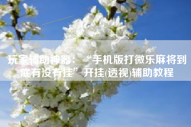 玩家辅助神器：“手机版打微乐麻将到底有没有挂	”开挂(透视)辅助教程