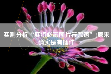 实测分析“麻将必赢图片符咒语	”(原来确实是有插件