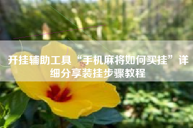 开挂辅助工具“手机麻将如何买挂”详细分享装挂步骤教程