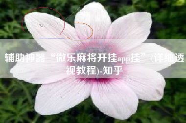 辅助神器“微乐麻将开挂app挂”(详细透视教程)-知乎