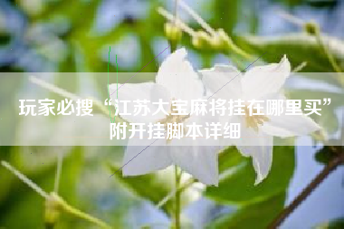 玩家必搜“江苏大宝麻将挂在哪里买”附开挂脚本详细