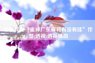 必看教程“雀神广东麻将有没有挂”作弊(透视)透视辅助