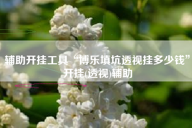 辅助开挂工具“博乐填坑透视挂多少钱	”开挂(透视)辅助