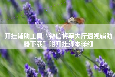 开挂辅助工具“微信将军大厅透视辅助器下载”附开挂脚本详细