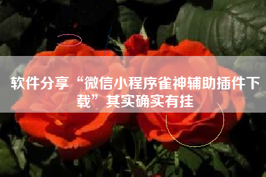软件分享“微信小程序雀神辅助插件下载”其实确实有挂
