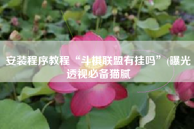 安装程序教程“斗棋联盟有挂吗	”(曝光透视必备猫腻