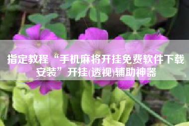 指定教程“手机麻将开挂免费软件下载安装”开挂(透视)辅助神器