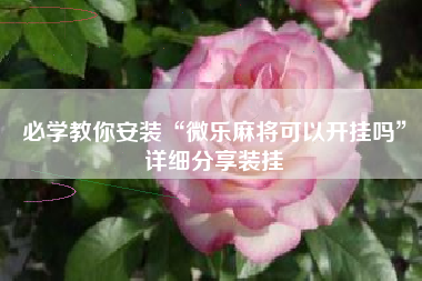 必学教你安装“微乐麻将可以开挂吗”详细分享装挂