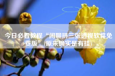 今日必看教程“闲聊拼三张透视软件免费版	”(原来确实是有挂)