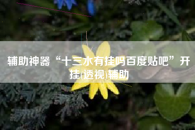 辅助神器“十三水有挂吗百度贴吧”开挂(透视)辅助