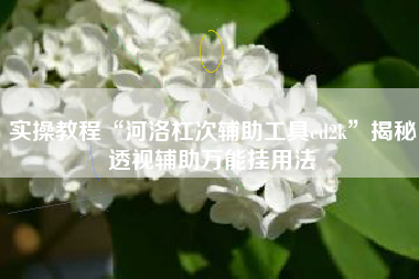 实操教程“河洛杠次辅助工具ed2k”揭秘透视辅助万能挂用法
