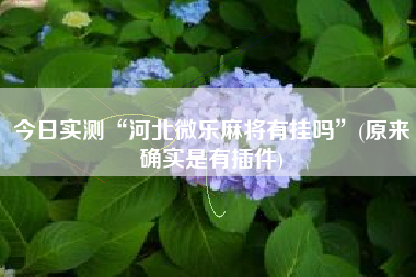 今日实测“河北微乐麻将有挂吗”(原来确实是有插件)