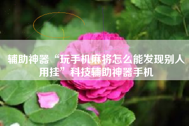 辅助神器“玩手机麻将怎么能发现别人用挂”科技辅助神器手机