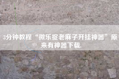 3分钟教程“微乐捉老麻子开挂神器	”原来有神器下载