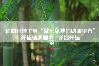 辅助开挂工具“微乐免费辅助哪里有	”开挂辅助脚本+详细开挂