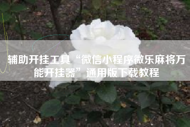 辅助开挂工具“微信小程序微乐麻将万能开挂器	”通用版下载教程