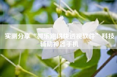 实测分享“微乐跑得快透视软件	”科技辅助神器手机