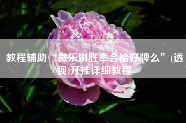 教程辅助“微乐刷胜率会给好牌么	”(透视)开挂详细教程