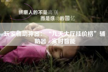 玩家辅助神器：“九天大厅挂价格	”辅助器 - 实时智能
