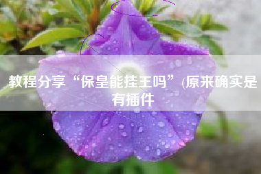 教程分享“保皇能挂王吗”(原来确实是有插件