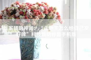 玩家辅助神器：“斗地主怎么给自己发好牌”科技辅助神器手机版